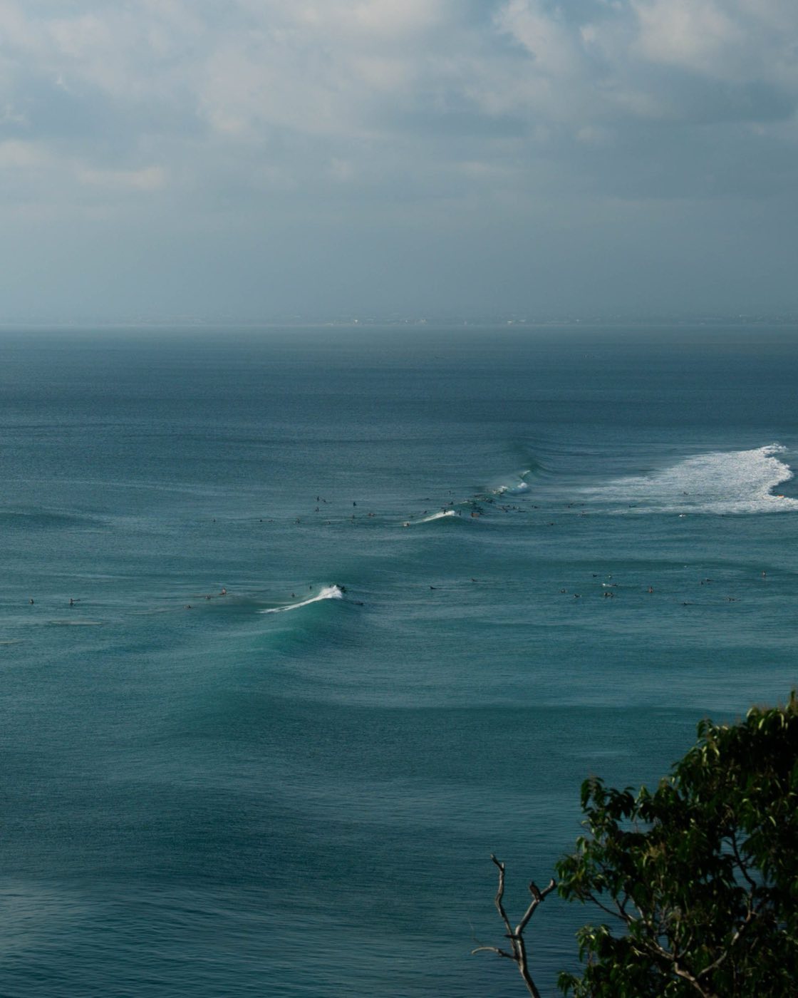 Ocean Mornings